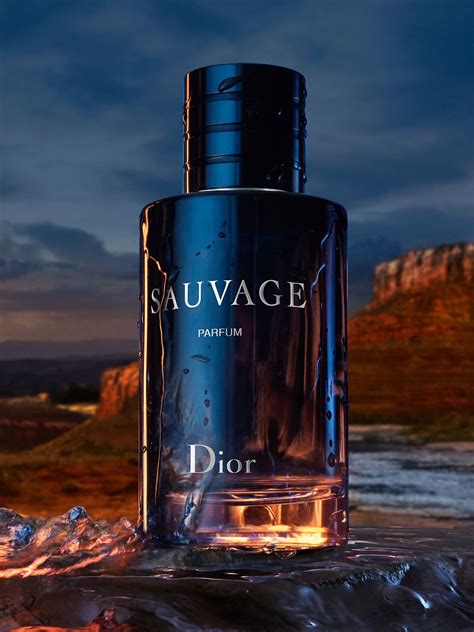 top dior colognes|best version of dior sauvage.